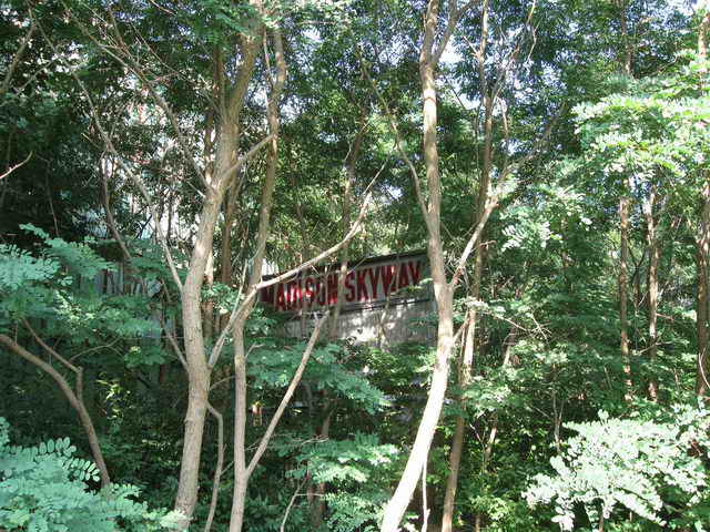 Skyway Drive-In - Some 2010 And Vintage Photos